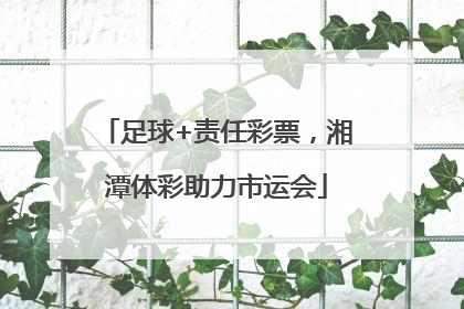 足球+责任彩票，湘潭体彩助力市运会